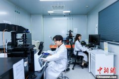 青年博士的科研路：在深耕中凝练方向 在思辨中突破桎梏