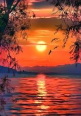 怎么拍出美丽的夕阳美景？